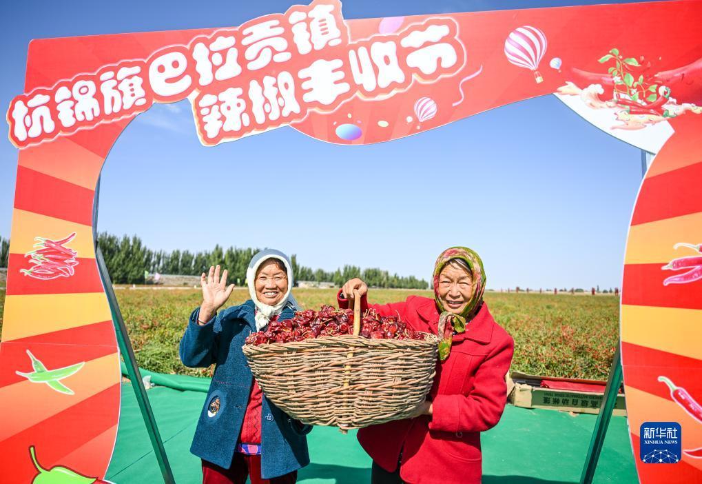 安卓诚博app